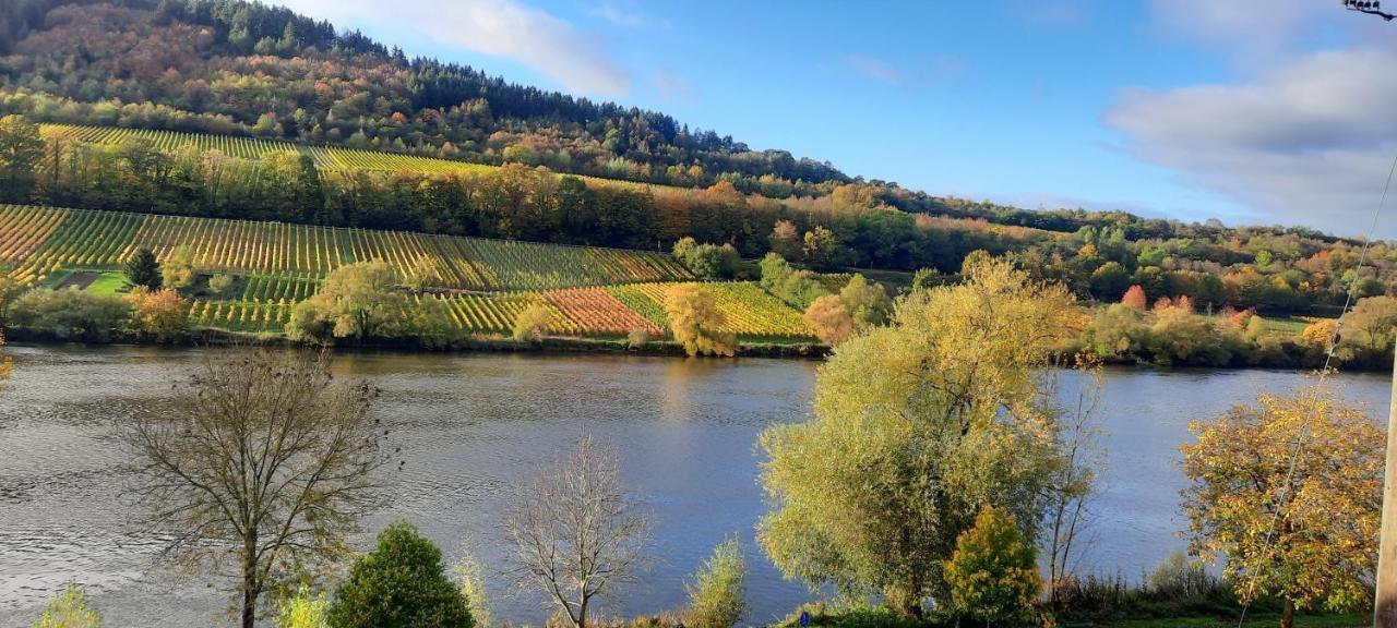 Apartments In Spay Bigone Zell-Merl Mosel Экстерьер фото