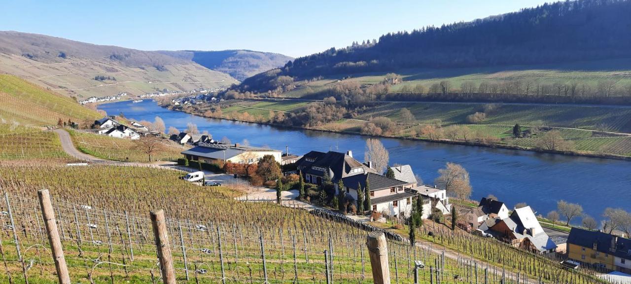 Apartments In Spay Bigone Zell-Merl Mosel Экстерьер фото